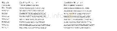 表1 基因表达分析引物序列