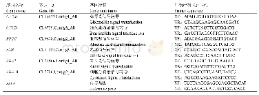 《表5 荧光定量PCR中所用差异表达基因及其引物序列》