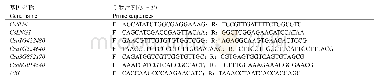 表1 实时荧光定量PCR引物