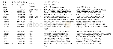 表1 重要分子标记信息：利用QTL-seq定位番茄果实质量QTL