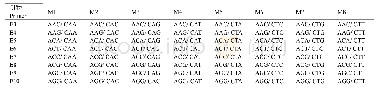 表1 扩增引物E(Eco RⅠ）和M(MseⅠ）的3′端序列
