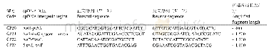 表2 楸子4个叶绿体DNA基因间区及4对叶绿体DNA引物序列基本信息