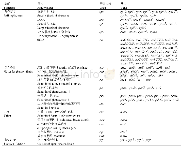 表1 杜梨叶绿体基因组注释基因列表