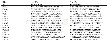 表1 葡萄LIM家族基因qRT-PCR引物