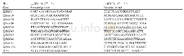 《表1 实时定量PCR引物序列》