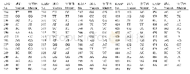 表3 KASP标记在‘越心’草莓和其组培突变体中的检测结果