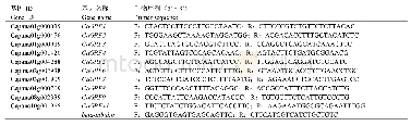 表1 用于q RT-PCR分析的引物序列