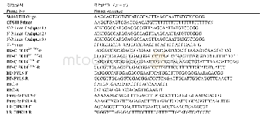 表1 本研究中使用的PCR引物