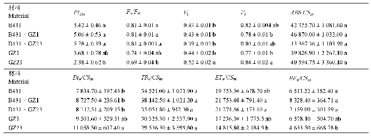 《表4 三倍体枇杷及其亲本7月的荧光参数》