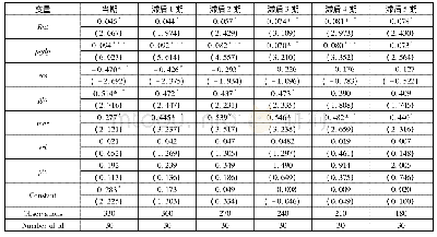 表2 合理化对生态效率影响的时间滞后效应