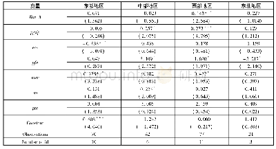 表5 合理化对生态效率影响的空间差异性