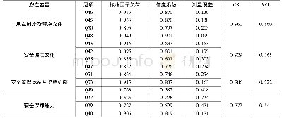 《表3 验证性因子分析结果》