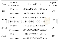 《表1 引物序列Tab.1 Primer sequence》