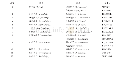 表1 不同蓟马种类的mt DNA COI基因序列