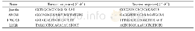表1 Real-time PCR引物序列