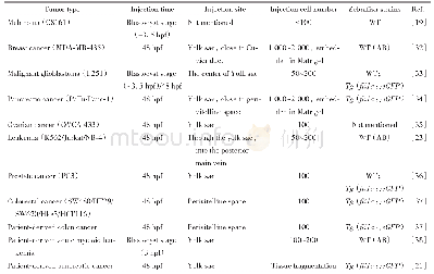 表2 斑马鱼移植瘤模型类型
