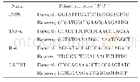 表1 RT-q PCR引物序列