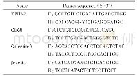 《表1 RT-q PCR引物序列》