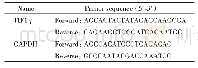 表1 RT-q PCR引物序列