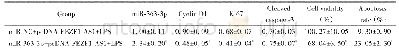 《表6 高表达mi R-363-3p可以逆转FEZF1-AS1高表达对LPS处理的血管内皮细胞活力和凋亡的影响》