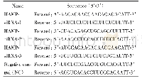 《表1 HAMP si RNA序列》