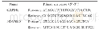 表3 q PCR引物序列