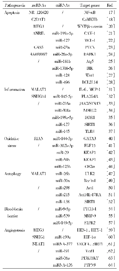 《表1 参与脑缺血再灌注损伤病理机制的lnc RNAs和mi RNAs》