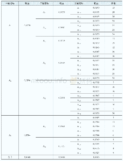 表7 指标综合权重及排名