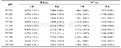 表2 掌叶大黄果实及种子长度、宽度的比较(±s,n=20)