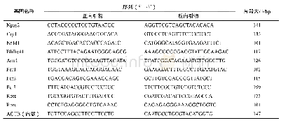 《表1 q RT-PCR实验引物信息》