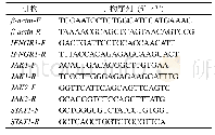 表1 RT-PCR引物信息
