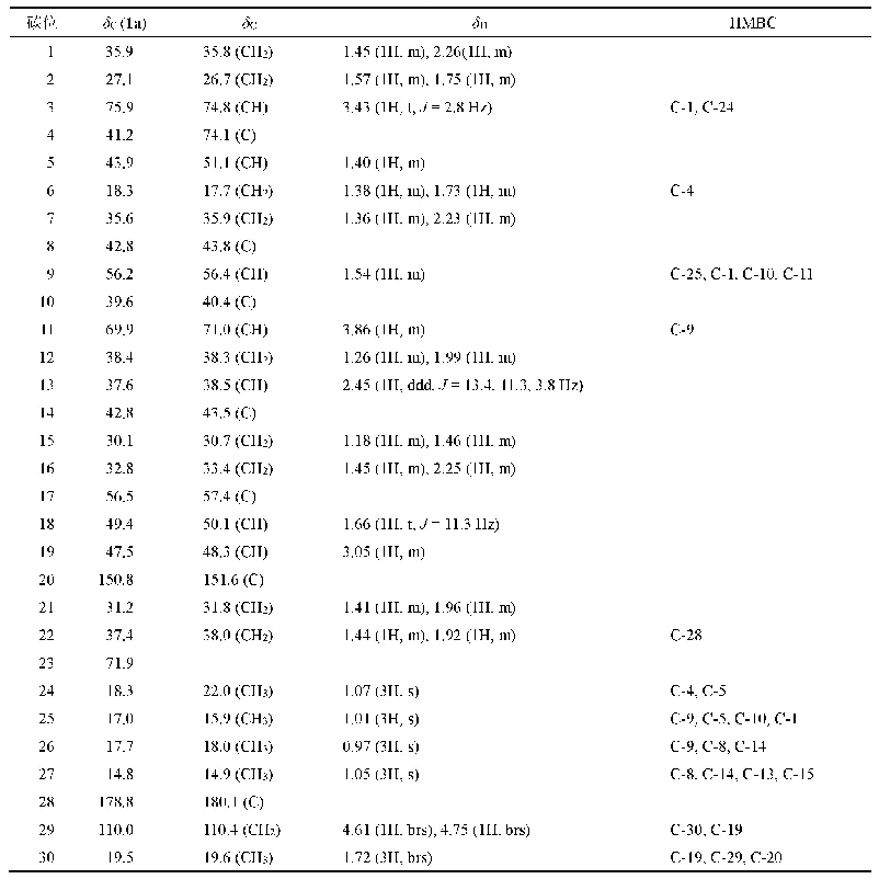 表1 化合物1的NMR数据(500/125 MHz,CD3OD)