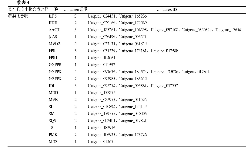 表4 编码香豆素、黄酮类和萜类生物合成相关酶的Unigenes数量