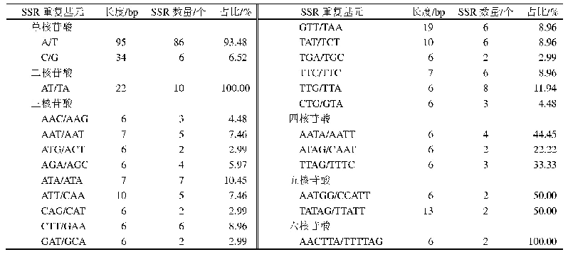 表3 菜头肾叶绿体基因组中SSR位点类型及数量