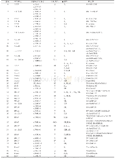 表2 本研究中检出的42种ABO亚型等位基因
