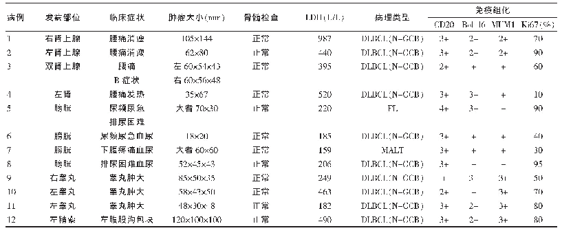 表2 患者临床表现、病理特征