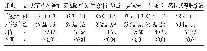 表1 两组护生实训考核成绩比较（±s，分）