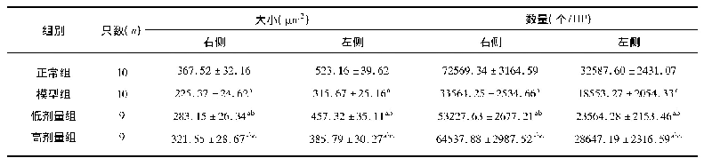 表1 各组大鼠神经元大小、数量比较(±s)