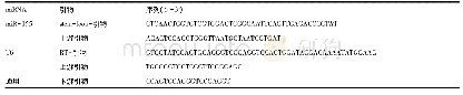 《表1 mi RNA-155, U6引物序列》