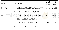 《表1 β-actin、miR-455、miR-let-7f-1引物序列》