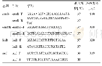 表1 目的基因PCR扩增引物序列及扩增条件