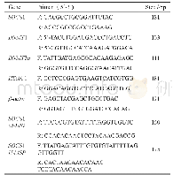 表2 引物序列：SOCS1的表观遗传学修饰与急性髓系白血病的关系