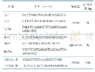 表1 引物、探针的名称、序列及靶基因