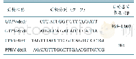 表1 引物序列及扩增目的基因长度