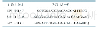 表1 H1亚型SIV ddRT-PCR引物和探针序列