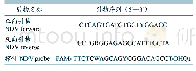 《表2 最适引物及探针序列》