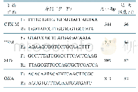 表1 引物序列及目的片段大小