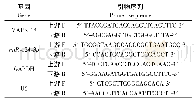 表1 qRT-PCR引物序列表