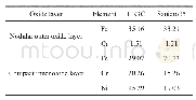 表2 HR3C与Sanicro25钢650℃下形成的氧化膜组成元素含量