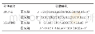《表1 目的基因的引物序列》